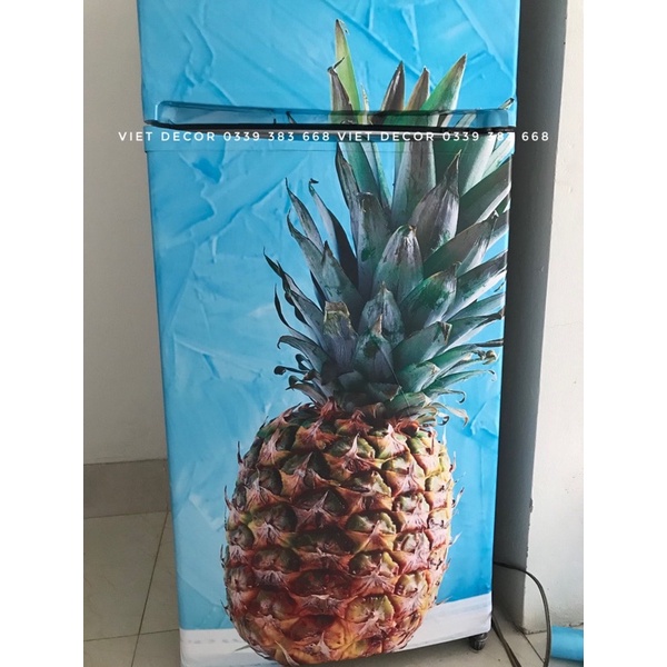 Decal Dán Tủ Lạnh hình Hoa Quả - Giấy dán Tủ Lạnh, Máy Giặt nhiều Kích thước - Màu sắc đẹp - Viet Decor