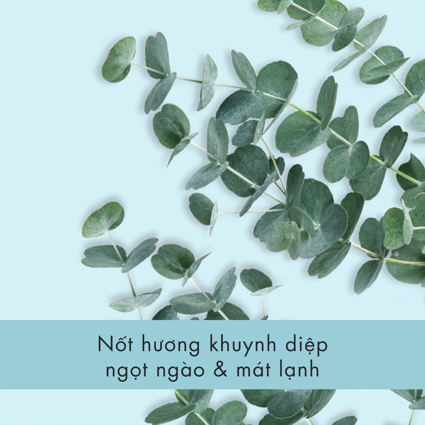 Dầu xả tảo biển dưỡng ẩm Love Beauty and Planet 400 ml | BigBuy360 - bigbuy360.vn