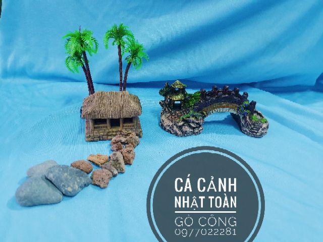 COMBO TRANG TRÍ HỒ CÁ NON BỘ 155K MẪU 2