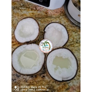 Dừa Sáp Loại 1 đặc kẹo 160k