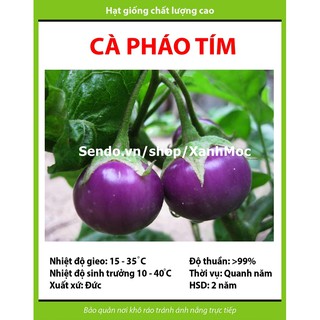 Hạt giống Cà pháo tím