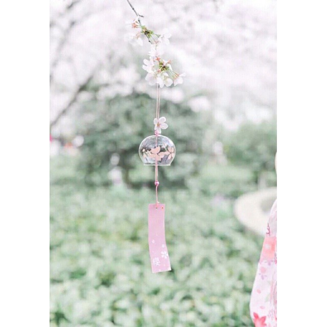 Chuông gió Furin phong cách Nhật Bản hoa anh đào sakura hồng trong suốt