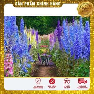 Hạt Giống Hoa Phi Yến Mix 100 Hạt