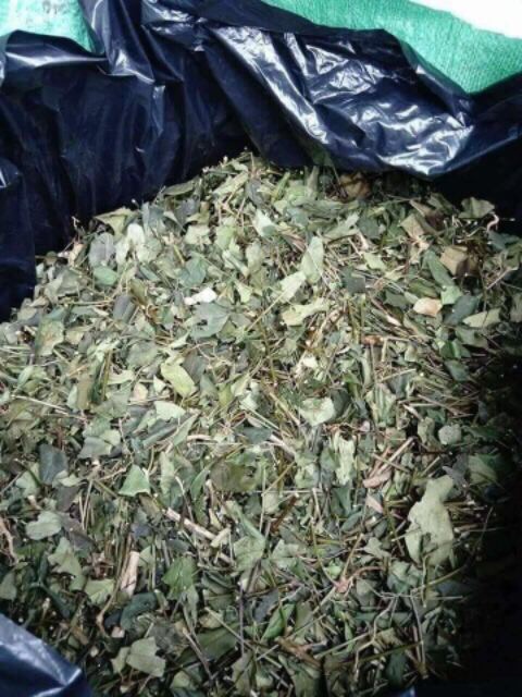 Chè vằng sẻ lợi sữa giảm cân /1kg chuẩn loại 1 | BigBuy360 - bigbuy360.vn
