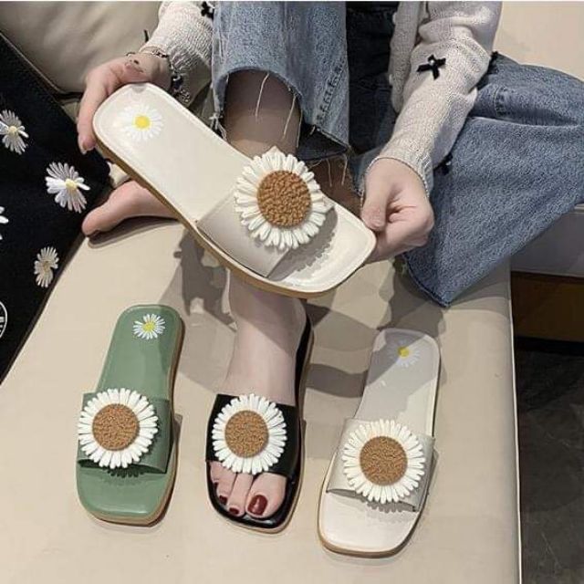 DÉP HOA CÚC ĐỦ MÀU