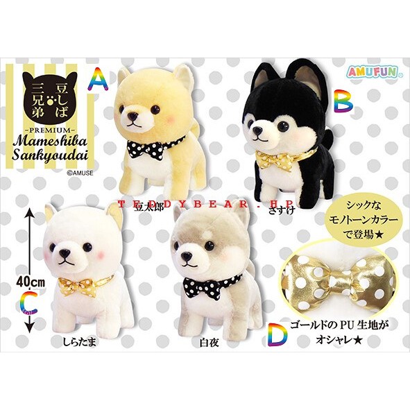 Mameshiba Premium Big Chính Hãng Gấu Bông Nhật Amuse Authentic