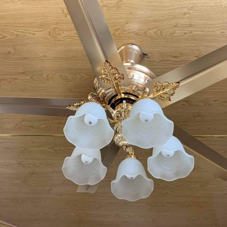 Quạt Trần Điều Khiển Từ Xa ,Quạt Trần Trang Trí Phòng Khách/5 Cánh Thép Không Gỉ, Động Cơ AC