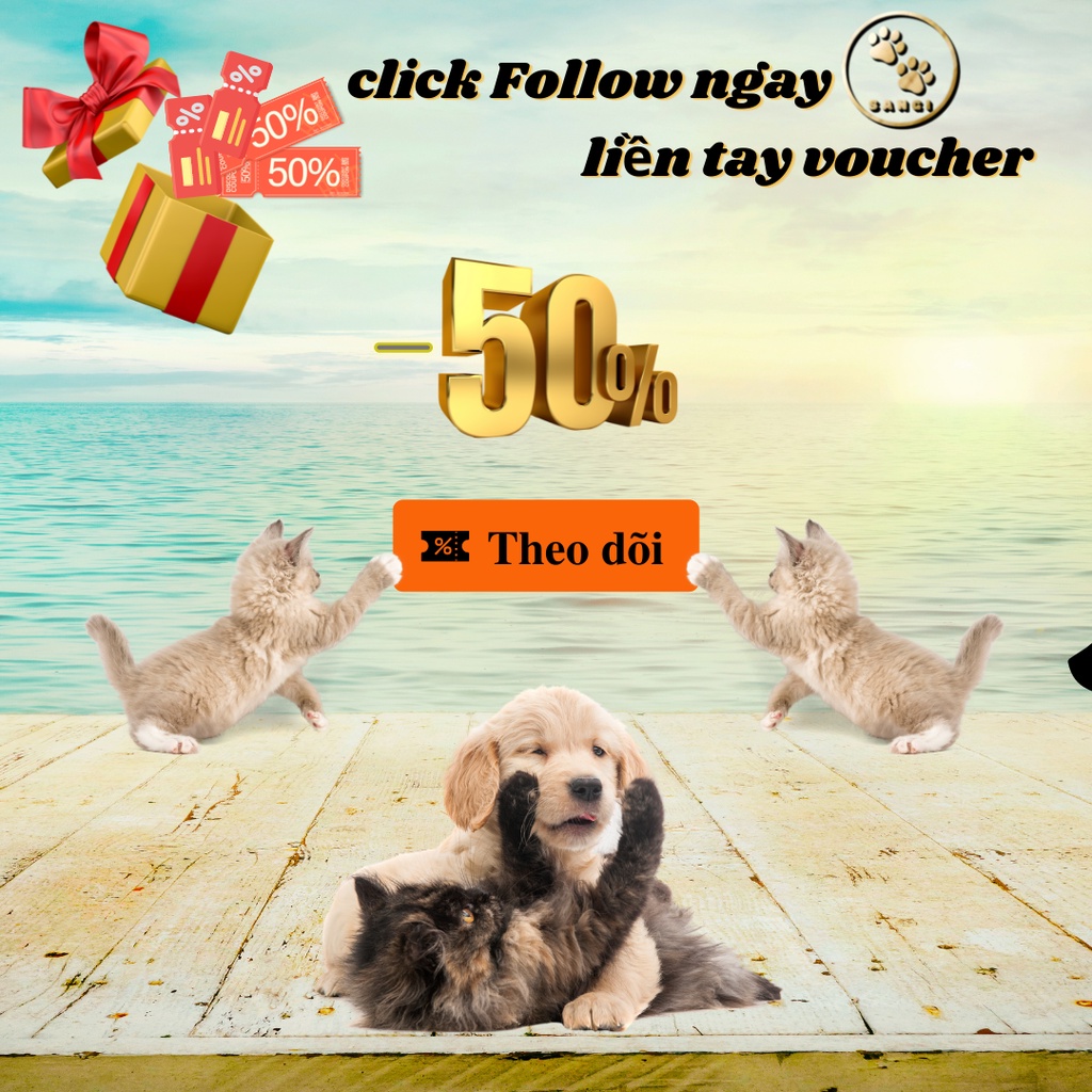 Pate mèo CATCHY 5Plus 70g - Pate thạch và sốt 5Plus đầy đủ 6 vị