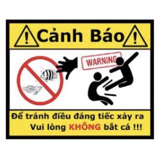 tranh 3D hồ cá