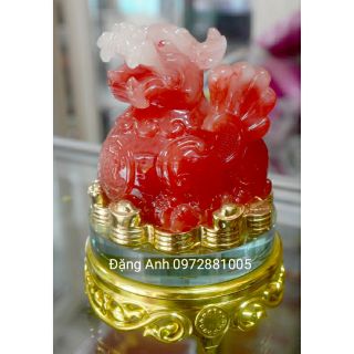 Cóc Kỳ  các cỡ cac màu