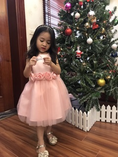 Đầm công chúa Next