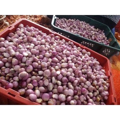 [ TÂN BÌNH ] HÀNH PHI MỘT NẮNG MẸ LÀM - HỘP 250 GRAM không chất bảo quản | BigBuy360 - bigbuy360.vn
