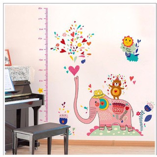 Decal thước đo chiều cao