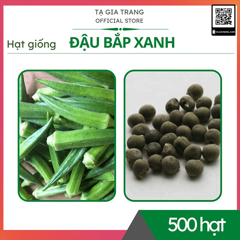 1KG Hạt giống đậu bắp xanh cao sản