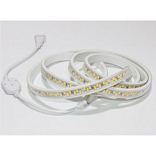 LED dây 220V 5730 5M