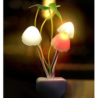 Đèn ngủ cây nấm, đèn ngủ cảm ứng