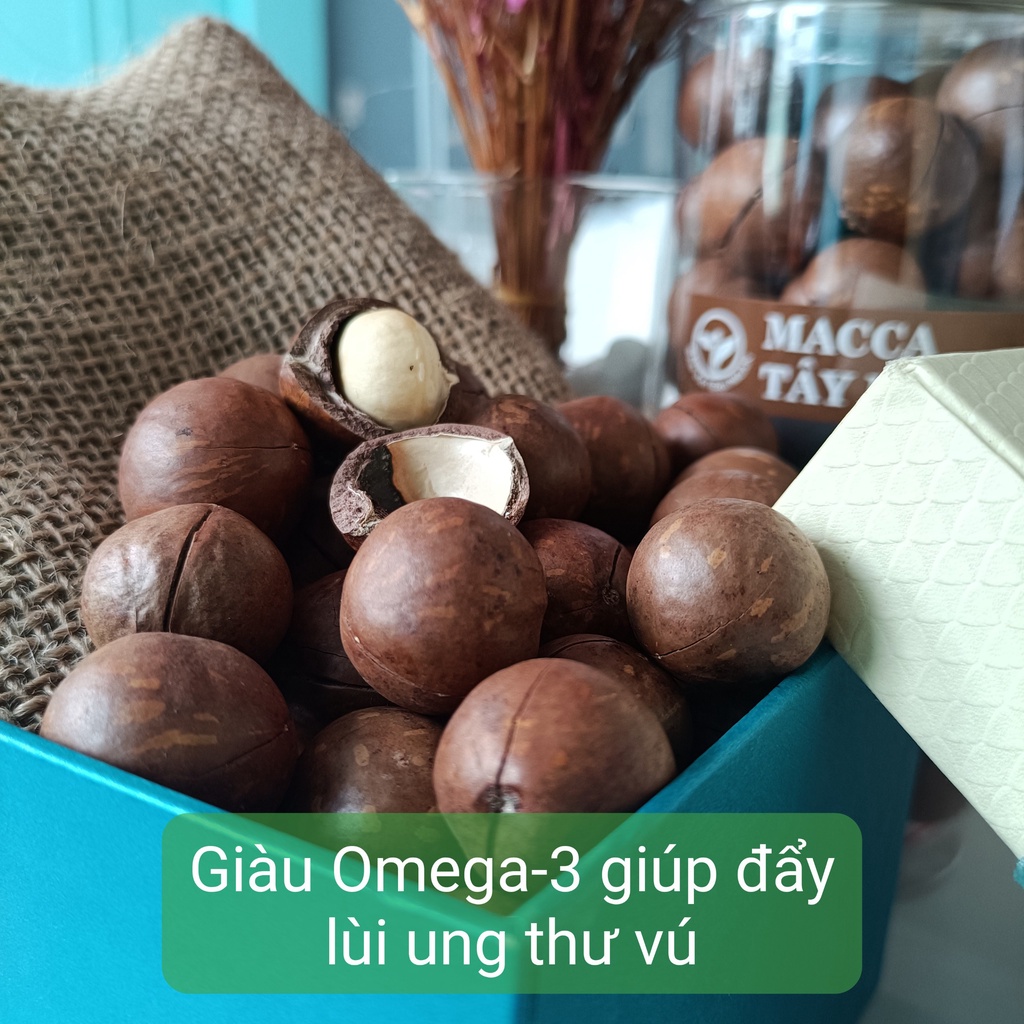 Hạt Macca Tách Vỏ TNFood – Macca ĐakLak Cao Cấp tăng cường dinh dưỡng cho mẹ bầu và thai nhi | BigBuy360 - bigbuy360.vn