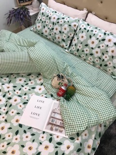 Bộ Drap & Chăn Phao Hoa Mai Xanh