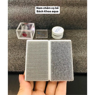 Nam châm mini - trung cao cấp vệ sinh bể cá