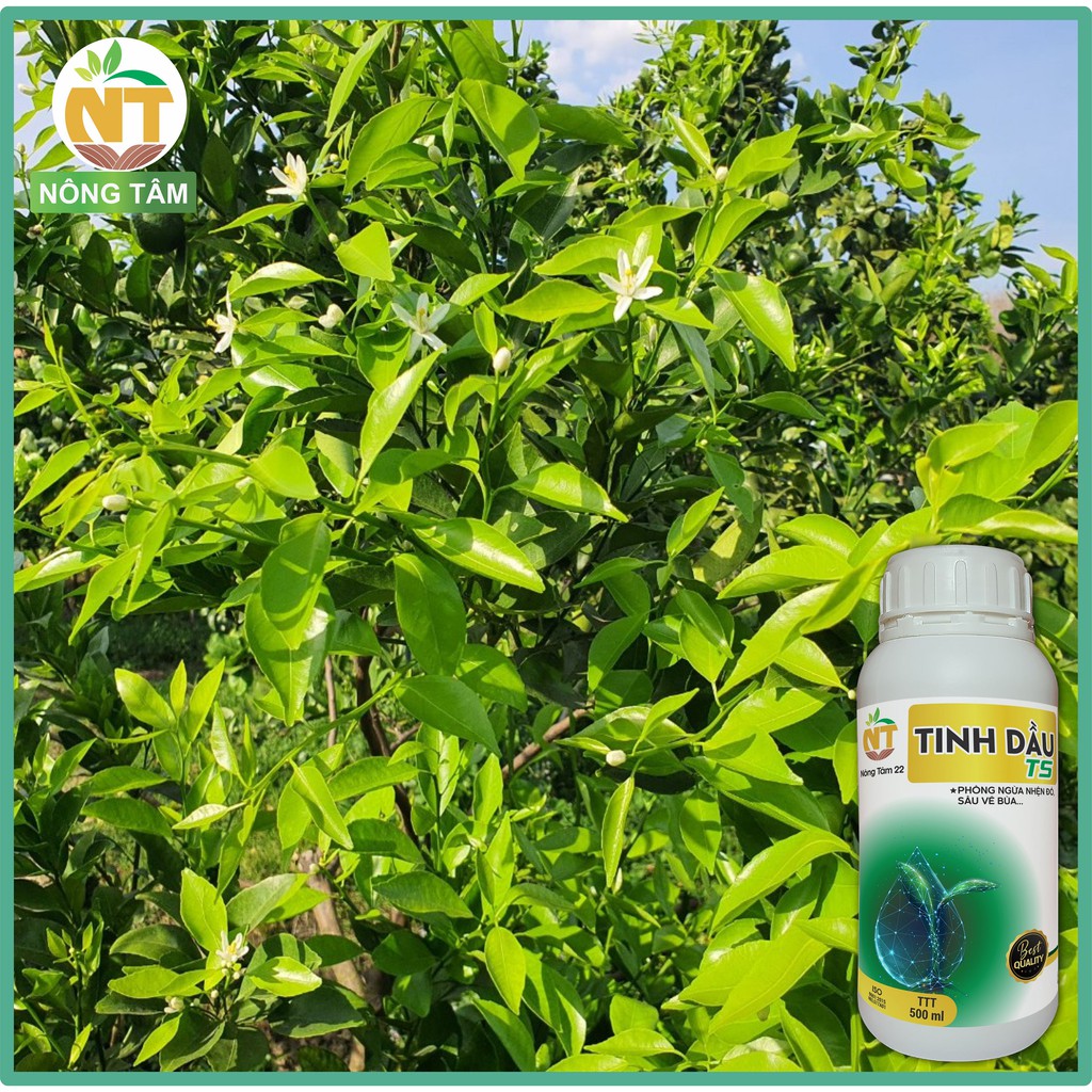 Chế phẩm sinh học đặc trị sâu bệnh, nhện đỏ, sâu vẽ bùa, sâu ăn lá trên cây ăn quả, chai 500ml