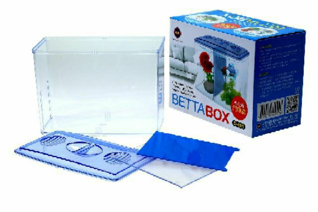Bể nhựa nuôi cá Betta mini 2 in 1, hồ cá để bàn size 18x14x10 cm - Betta Box - GuppyXanh