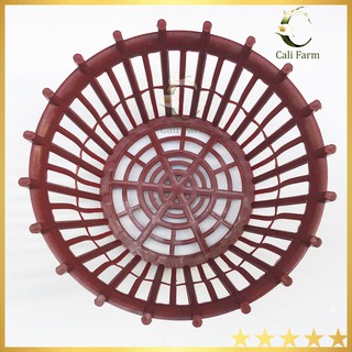 Chậu trồng lan F20