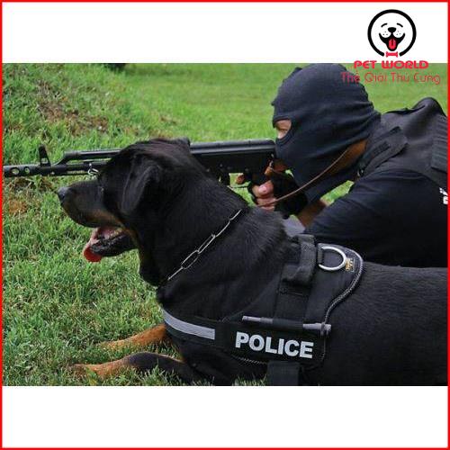 Dây đai người huấn luyện Police K9 chó chó từ 15-60kg