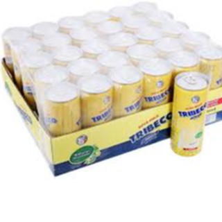 Thùng 30 lon Sữa đậu nành Tribeco Trisoy 240ml