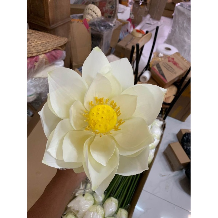 Hoa sen giả, hoa sen lụa màu trắng, hồng