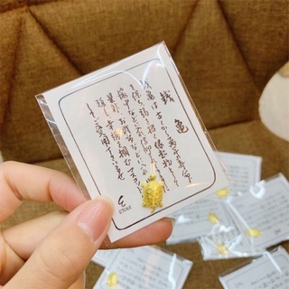 Rùa vàng phong thuỷ bỏ túi may mắn