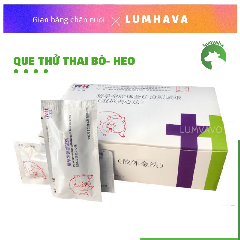 Que thử thai lợn gia xúc trâu bò phát hiện thai sớm VA34
