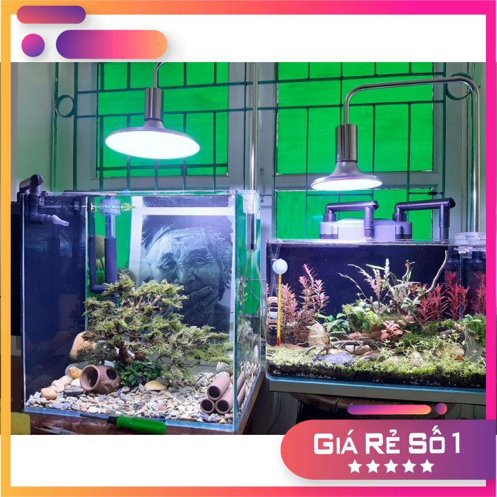Đèn Led Đĩa Xima 20w Ánh Sáng RGB cho Bể Thủy Sinh Và Bán Cạn