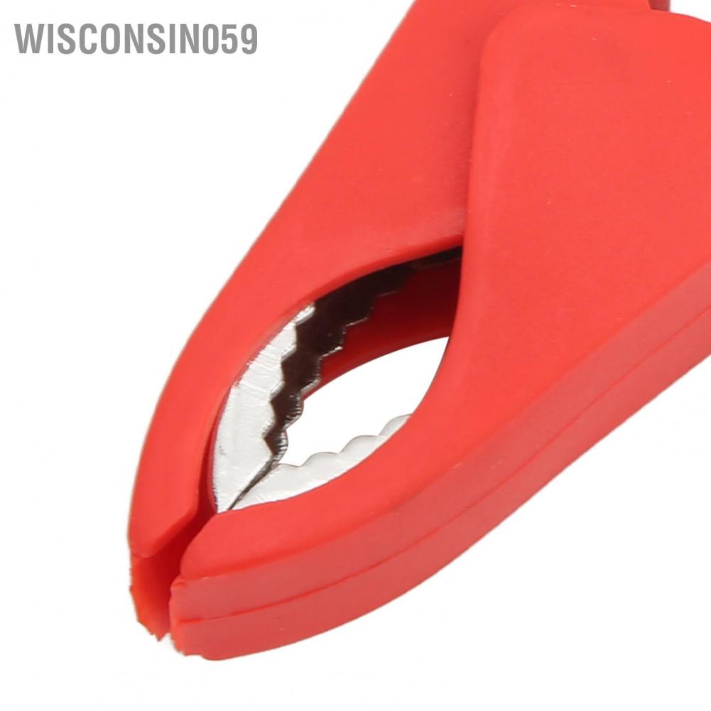 Wisconsin059 2 Pcs Insulated Clip 100mm All Copper Battery Electrical Test Insulation Spring Alligator