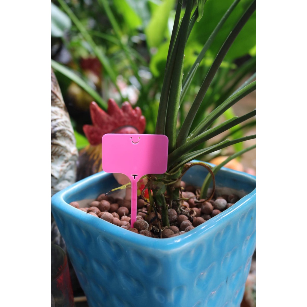 Thẻ ghi tên hoa kiểng, lan 2in1 dạng cắm và treo - bịch 100 cái (giao màu ngẫu nhiên)
