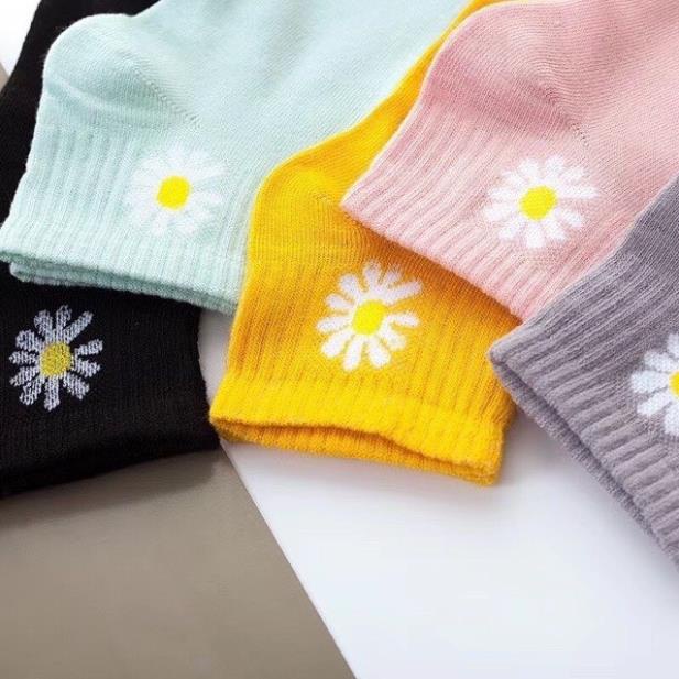 [Giá sỉ] Sét 10 Đôi Tất Cổ Ngắn Cotton Hoa Cúc