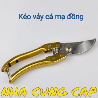 (GIÁ HỦY DIỆT) KÉO CẮT CÀNH VẢY CÁ CAO CẤP