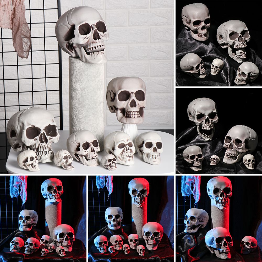 Mô hình đầu lâu trang trí halloween chất lượng cao