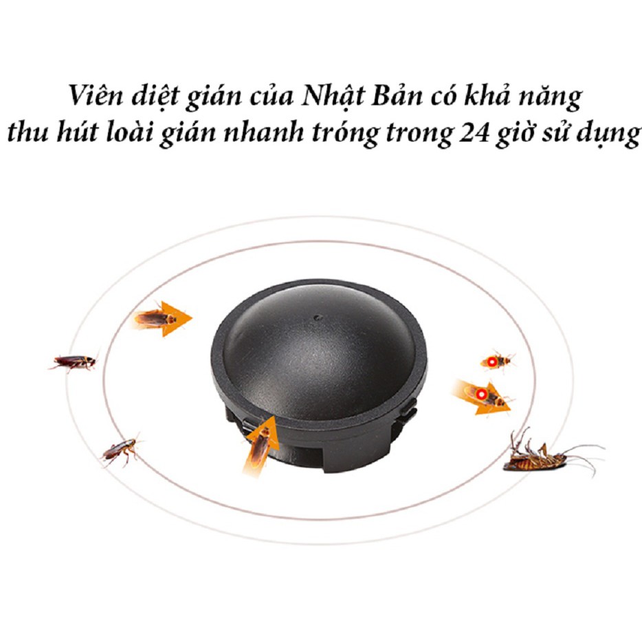 Viên diệt gián Nhật Bản Giá Gốc Đuổi gián siêu tốc bằng chất Fipronil đặt 1 viên đuổi gián tận gốc hiệu quả