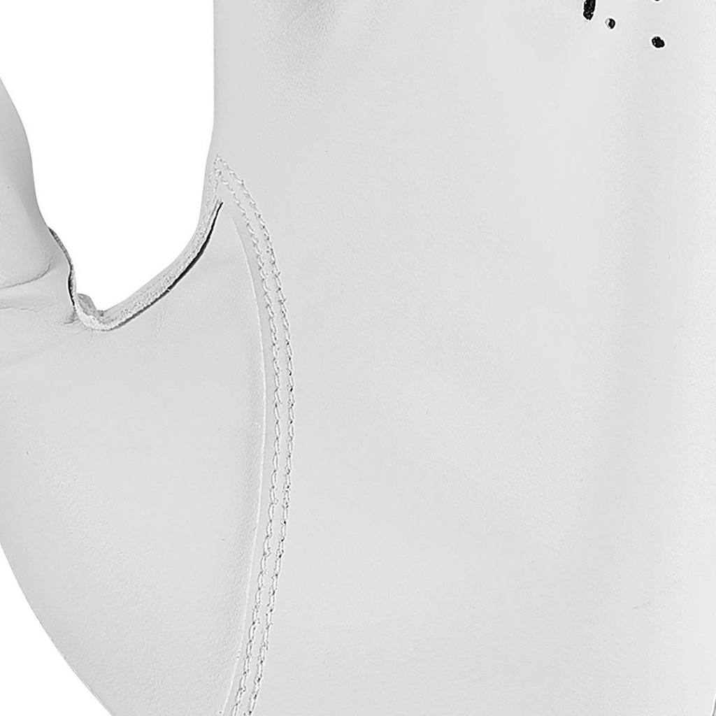 Bộ 2 Găng Tay Chơi Golf Nike Durafeel