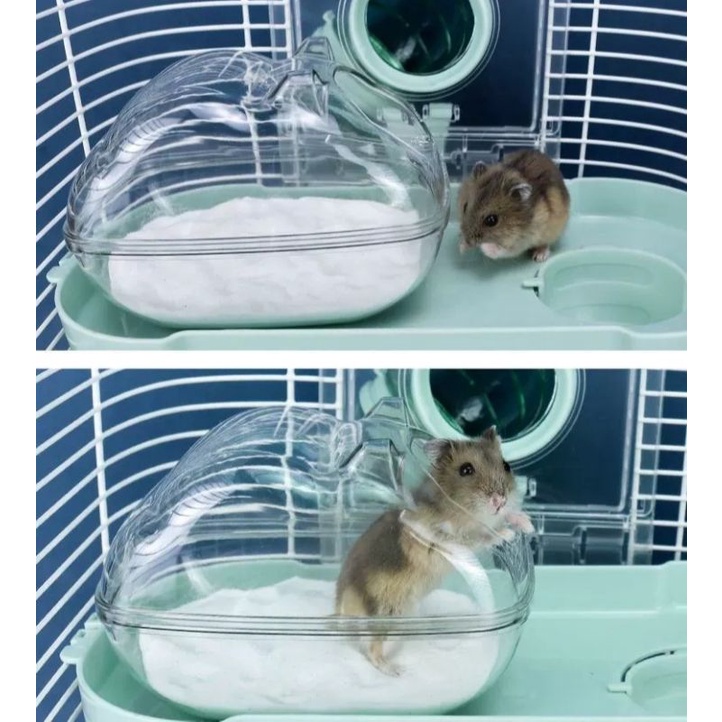 Nhà tắm gấu mika cho hamster