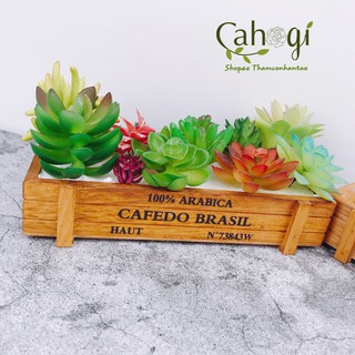 Hộp Gỗ Băng Két Trồng Cây phong cách Pháp sang trọng cổ điển (Đã lót xốp phủ cỏ xanh, mua về dùng ngay)