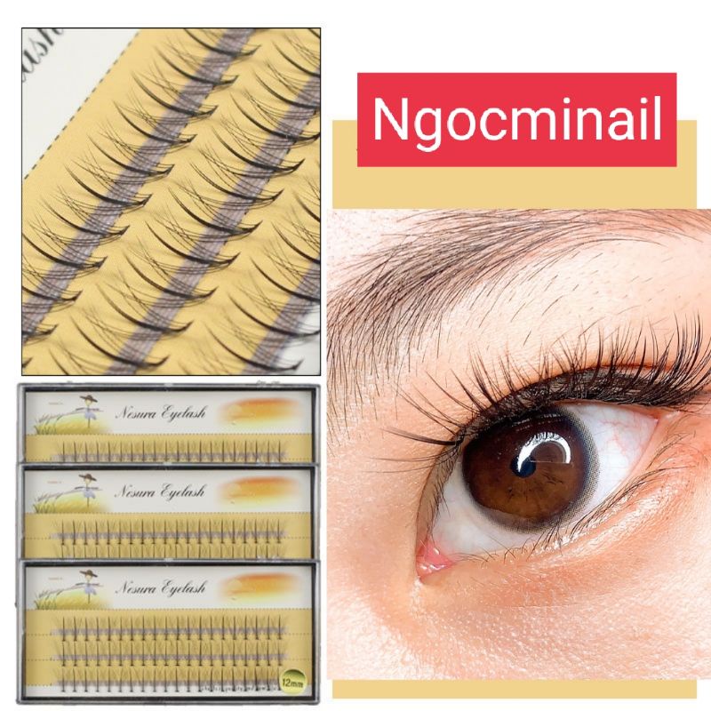 Lông mi giả chùm Katun Nesura Hàn Quốc