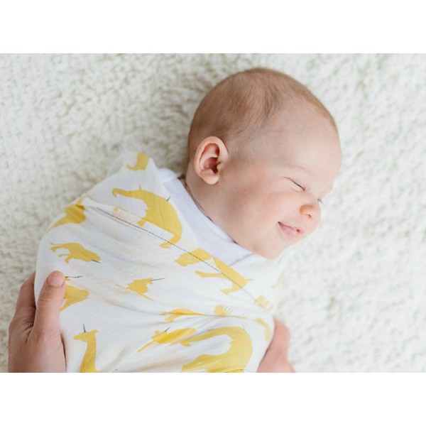 Khăn Quấn Bé Sơ Sinh Swaddle Summer Infant