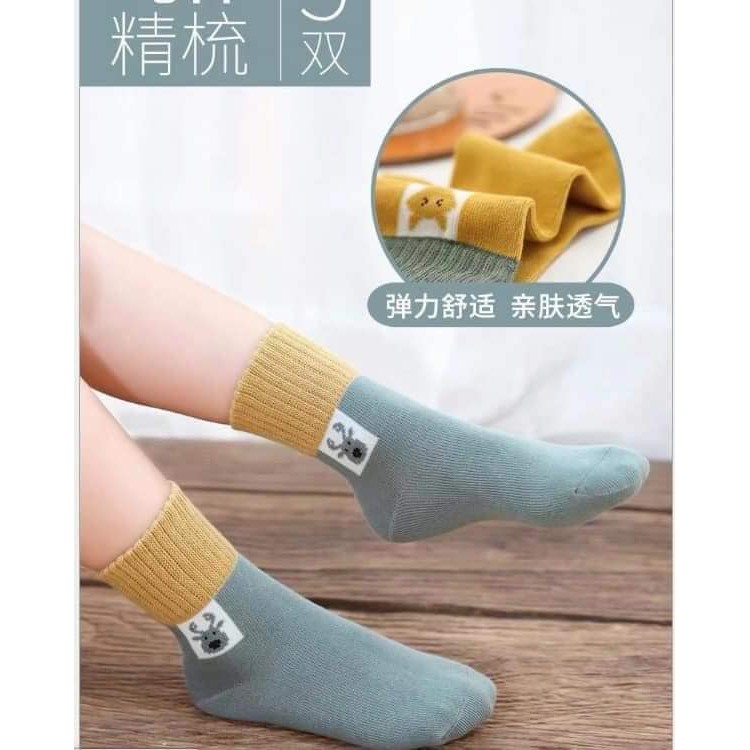 SÉT TẤT CAO CỔ 5 ĐÔI