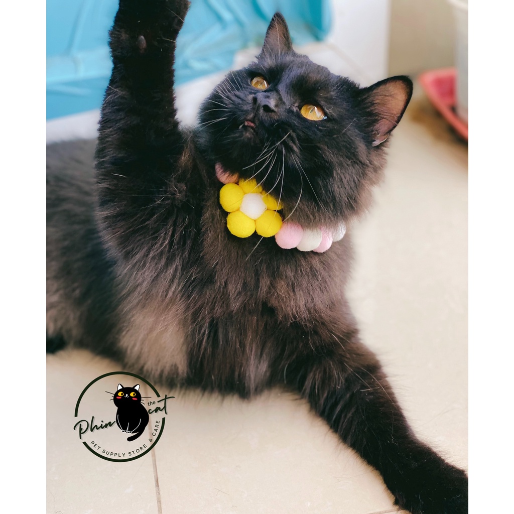 [Ảnh thật] Vòng cổ bông màu sắc cho chó mèo kèm chuông (giao ngẫu nhiên) | phinthecat