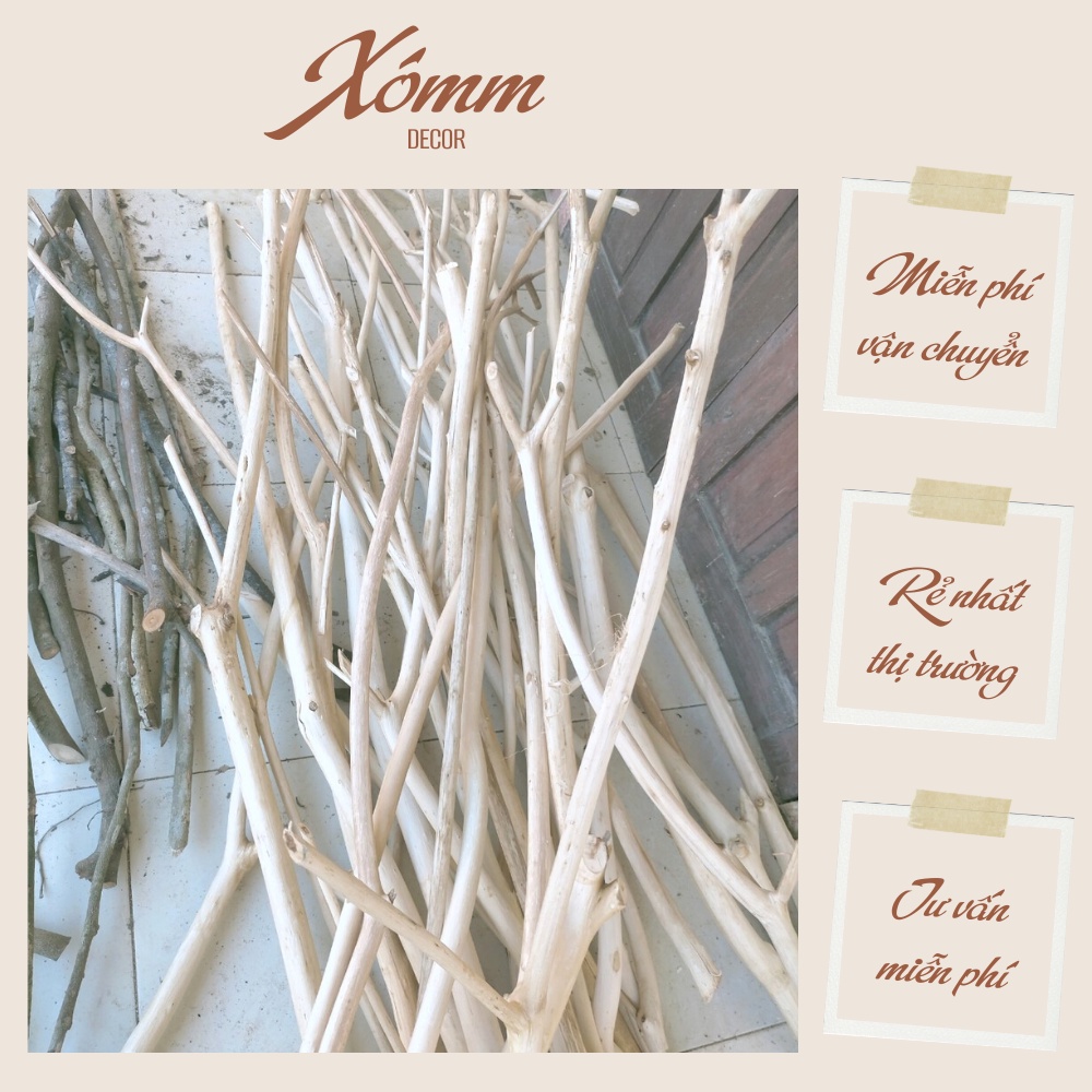 Nhánh cây khô 30cm-1,5m. củi khô tự nhiên làm Macrame, thanh treo rèm gỗ, quần áo , trang trí Decor tết , nhà cửa