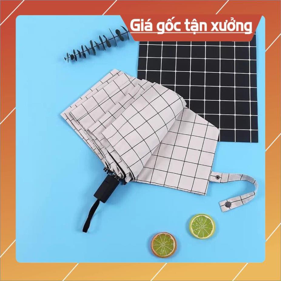 [Bán gía Gốc] Ô kẻ hàn quốc / ô kẻ gập gọn hàn quốc