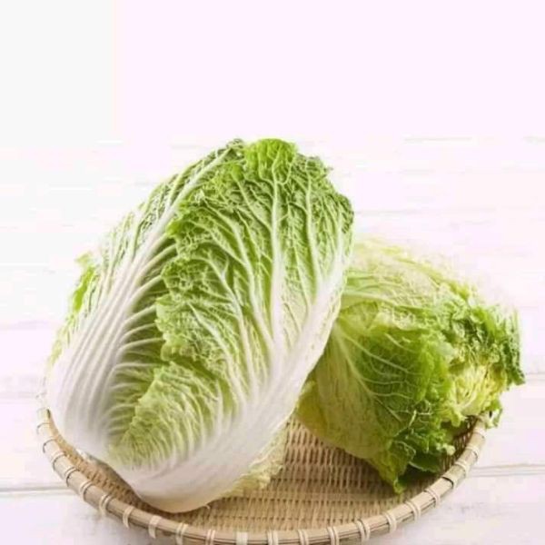 HẠT GIỐNG CẢI THẢO F1 GOKI 70 - GÓI 1 GRAM