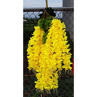 Hoa Tử Đằng, Cây Giả, Cành Làm Cây