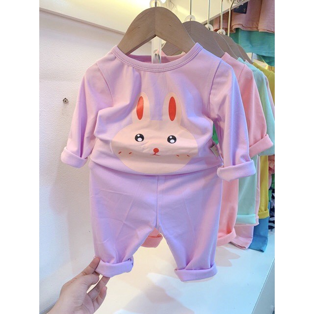 Bộ quần áo cotton dài tay in hình thú cho bé từ 8-18kg